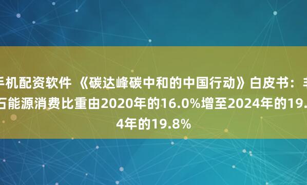 手机配资软件 《碳达峰碳中和的中国行动》白皮书：非化石能源消费比重由2020年的16.0%增至2024年的19.8%